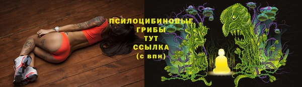 прущие крисы Каменск-Шахтинский