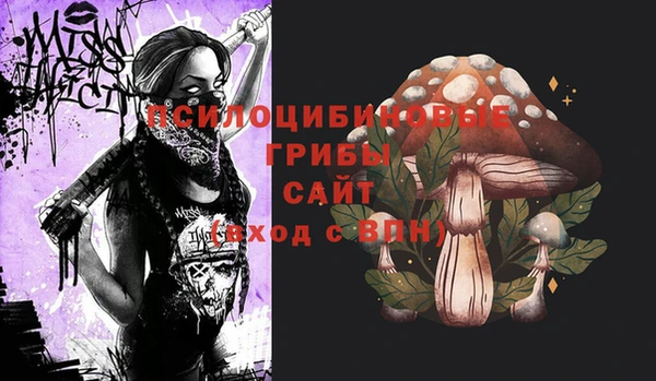 прущие крисы Каменск-Шахтинский