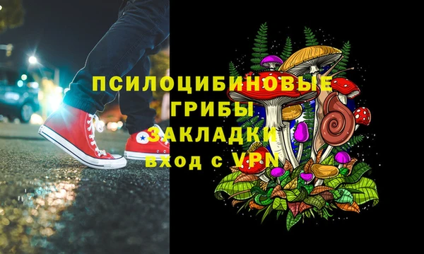 таблы Каменногорск