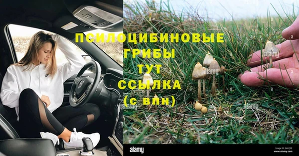 таблы Каменногорск