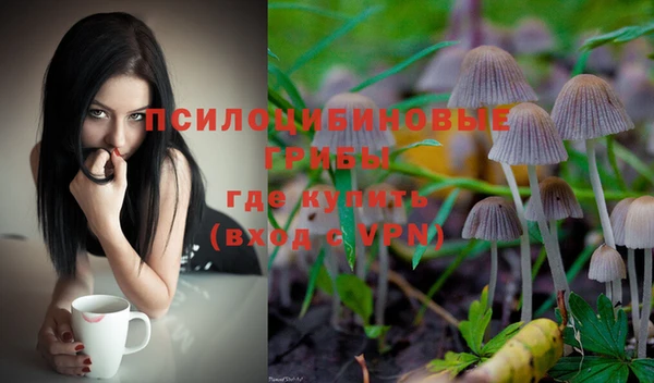 таблы Каменногорск