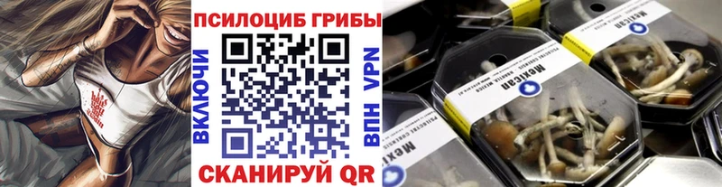 Купить  Киселёвск  Галлюциногенные грибы Psilocybe 